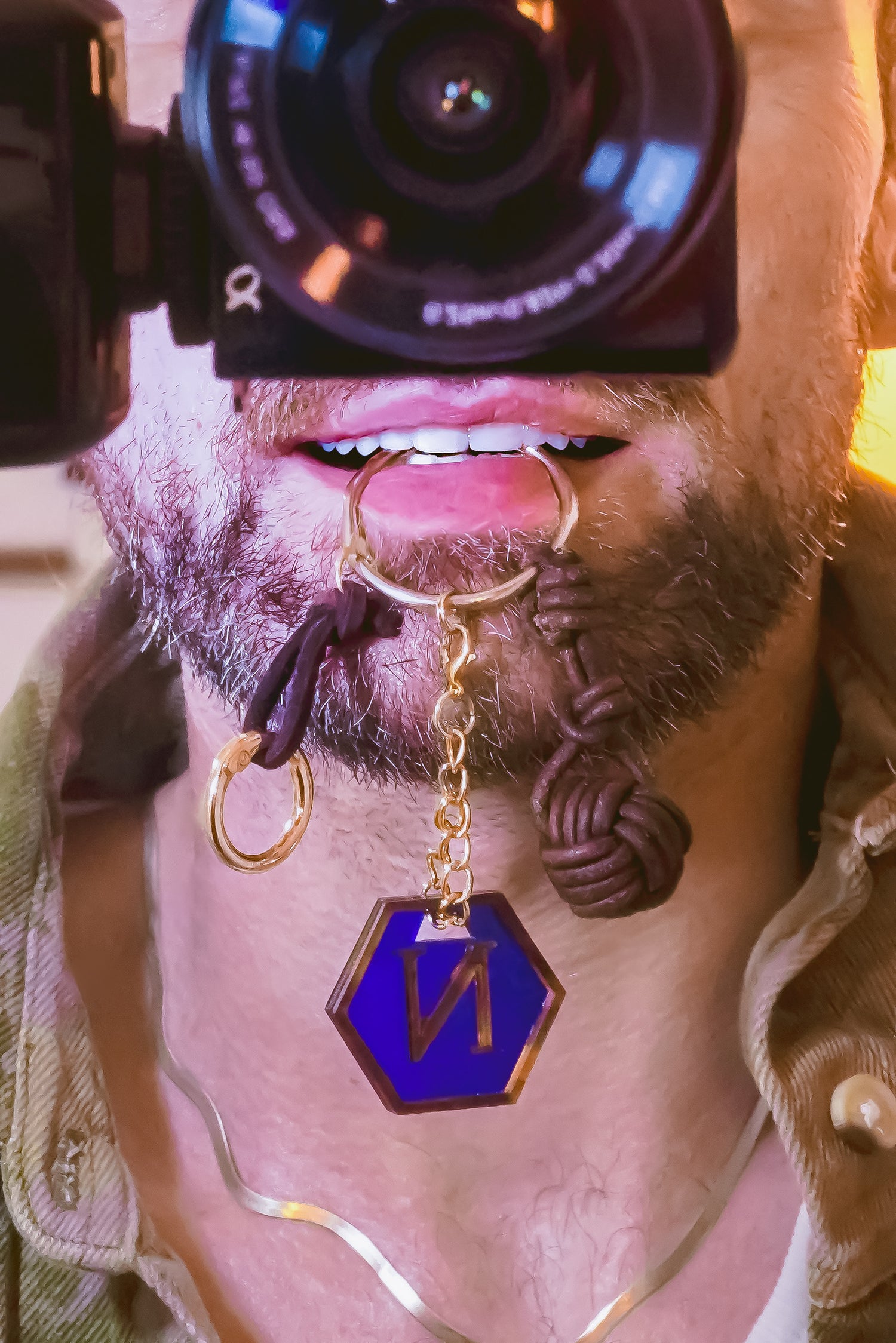 Signature Forge Collection